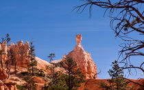 Hammerhead Hoodoo At Bryce Canyon by John Bailey