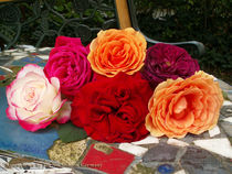 Austin Roses von Pia Nachtsheim