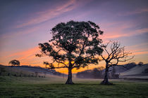 North Devon Sunrise von Dave Wilkinson