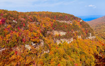 Colorful Cloudland Canyon In The Fall by John Bailey
