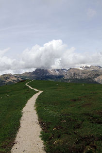 single trail von jaybe