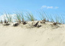 Grass on sand dunes von dreamcatcher-media