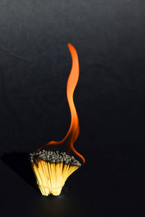 Dying Flame on Burnt Matches by Chris Edmunds