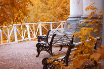 Bench in Autumn Park von cinema4design
