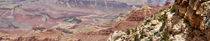 Grand Canyon, South Rim 2 by Daniel Troy