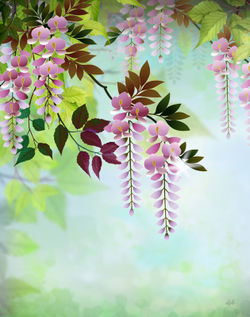 Spring-wisteria