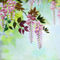Spring-wisteria