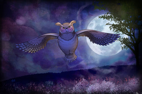 Night-owl-36x24