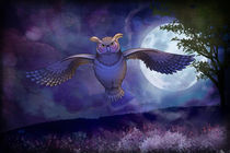 Midnight Owl von Peter  Awax