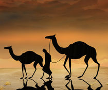Walking The Sahara von Peter  Awax