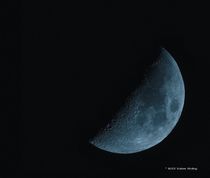 Blue Moon von Volker Wollny