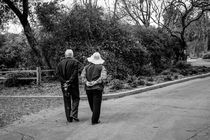 Couple strolling through the park. by Mel Surdin