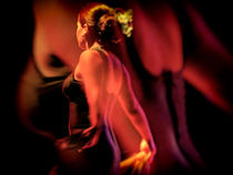 Flamenco 1 von Gabi Hampe Brigitte Dürr