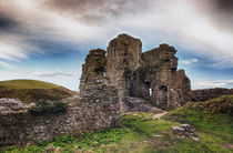 Castle In Ruins by Vicki Field