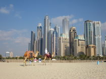 Am Strand von Dubai - Foto by Renée König