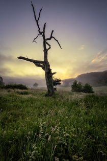 Misty summer sunrise by Dave Wilkinson