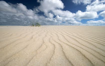 Amrum Sandstrand by Peter Rohde