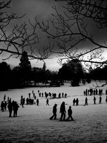 Winter Park von Steve Ball