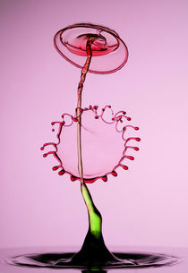 Red flower by Jarek Blaminsky
