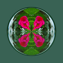 Flower Globe by Robert Gipson