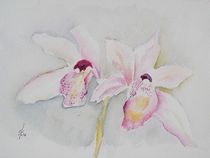 Orchidee von Theodor Fischer