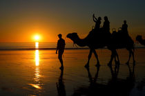 Camels on Cable Beach 2 by Stuart Row