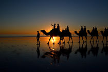 Camels on Cable Beach 1 by Stuart Row