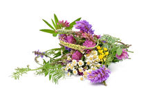 bouquet of wildflowers  by larisa-koshkina