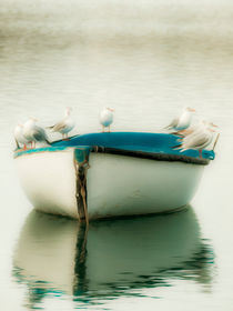 Seagulls in boat. von Juan Bautista
