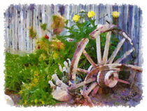 Garden Wheel by Stephen Lawrence Mitchell