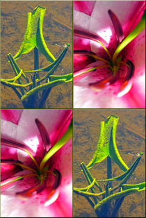 Viererbild "pinkgrün" von lisa-glueck