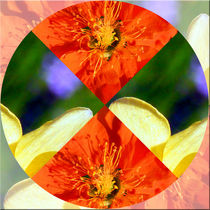 Viererbild "Blütenkreis" by lisa-glueck
