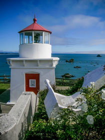 Patrick's Point Lighthouse von Jim DeLillo