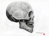 Skull by Rodrigo Chaem