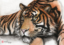 tiger by Rodrigo Chaem
