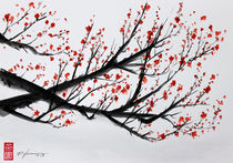 Sakura by Rodrigo Chaem