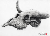 Skull Bull by Rodrigo Chaem