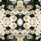 Daisy-kaleidoscope-2