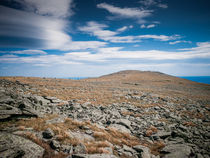 Cairn Trail on Mount Washington by Jim DeLillo