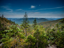 Looking West from Mount Washington by Jim DeLillo