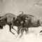 Wildebeests-battling-as-if-unto-death