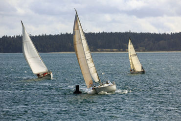 Sailboats-racing0482