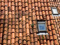 Tile Roof by Louise Heusinkveld