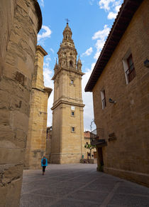 Detached tower of the cathedral of Santo Domingo de la Calzada by Louise Heusinkveld