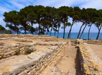 Ruins of the Greek City of Empuries, Catalonia, Spain by Louise Heusinkveld