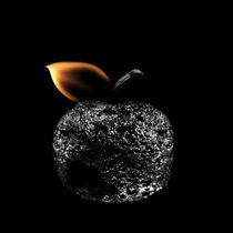 The Apple von Stanislav Aristov