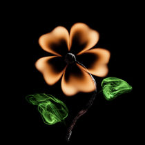 The Flower by Stanislav Aristov