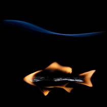The Fish by Stanislav Aristov
