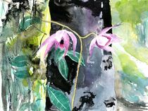 Orchidee pink, Borneo, 2014 by Eva Pötzelsberger