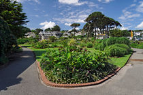 Queen Mary Gardens, Falmouth von Rod Johnson